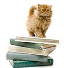 Книги про кошек