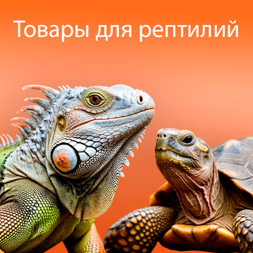 Рептилии