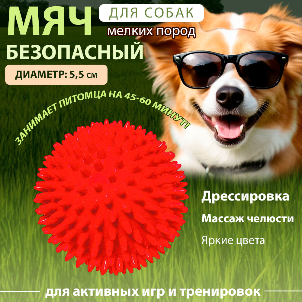 Игрушка Для Собак Мяч Массажный 5,5см V.I.PET Bl11-015-55