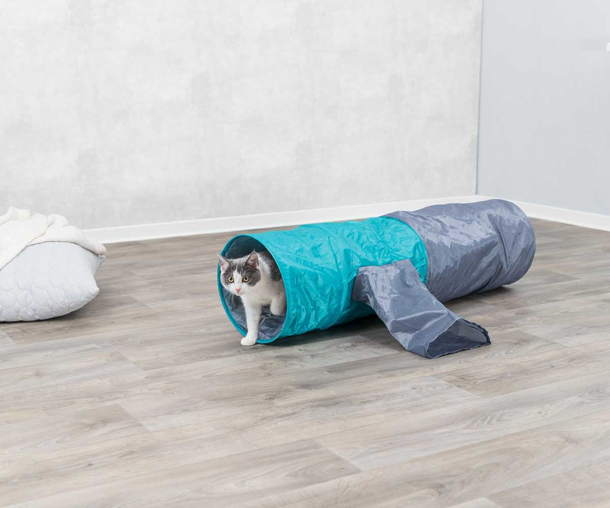 Тоннель Для Кошек Trixie (Трикси) Шуршащий 4 Отверстия 30*115см 4302