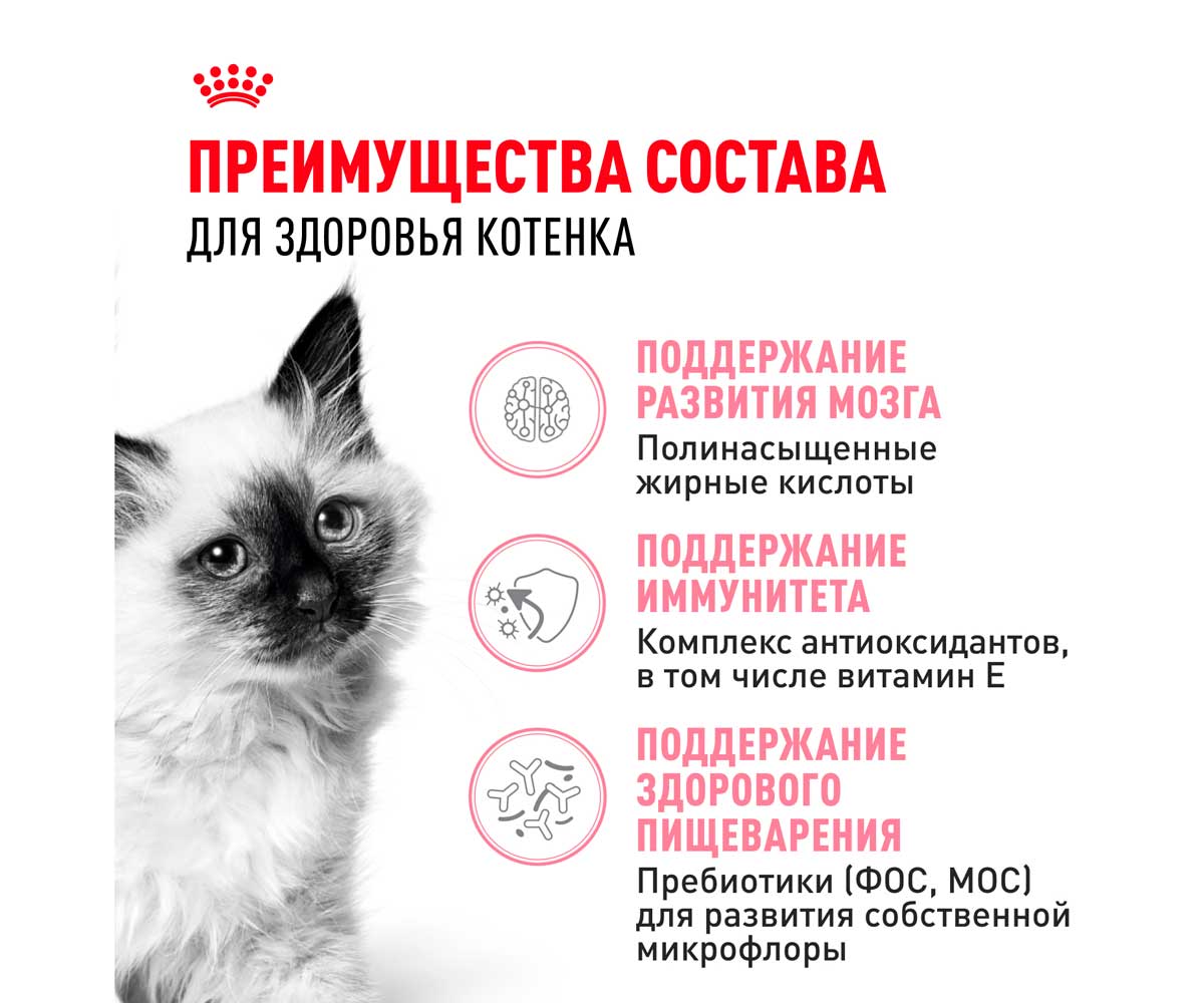 Сухой Корм Royal Canin (Роял Канин) Для Котят от 4 до 12 Месяцев Feline Health Nutrition Kitten 36 2кг