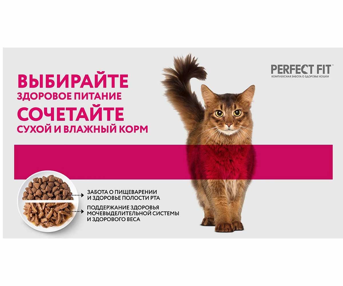 Сухой Корм Perfect Fit (Перфект Фит) Для Котят Курица Junior 190г