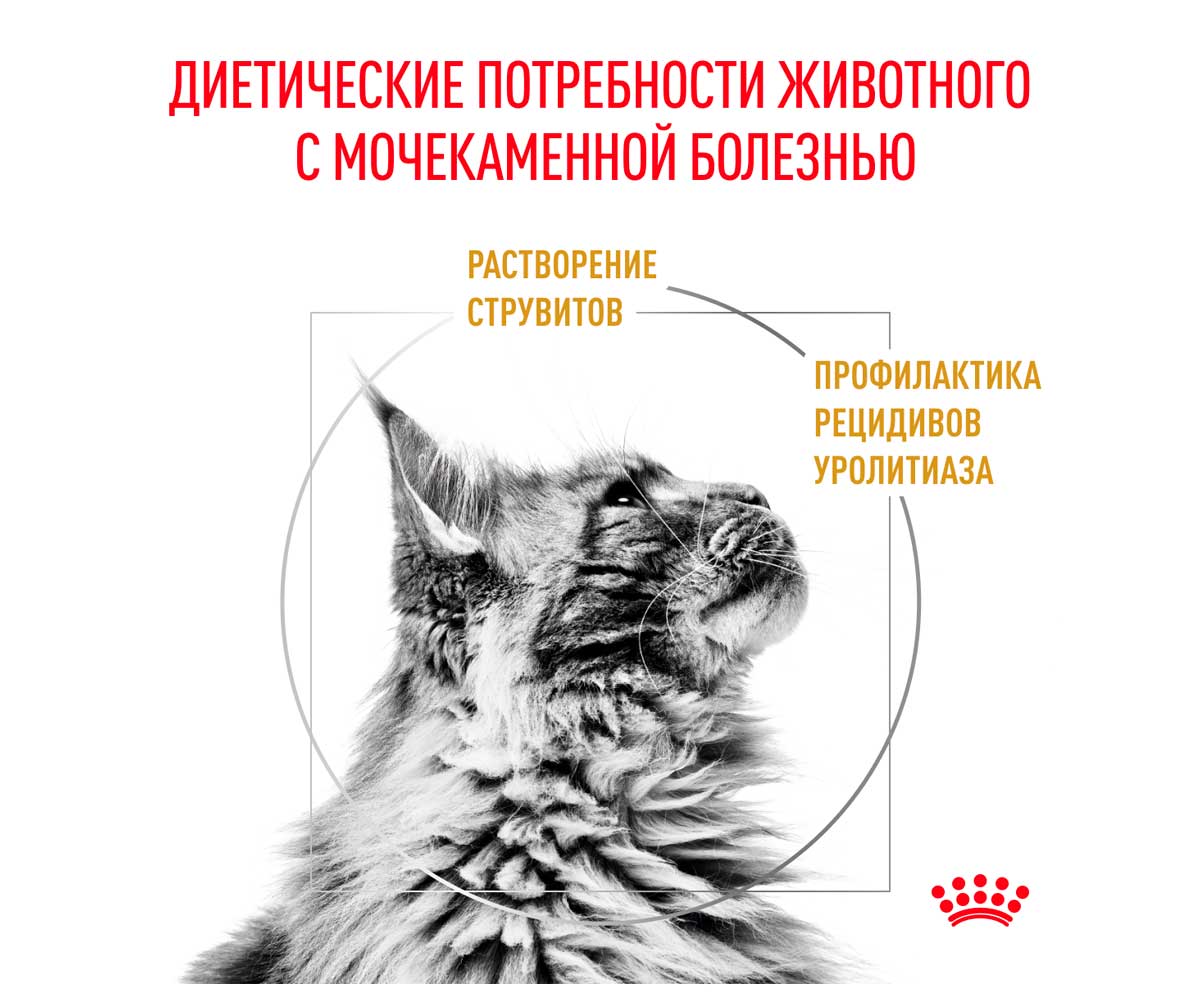 Лечебный Сухой Корм Royal Canin (Ройял Канин) Urinary S/O Для Кошек, Способствующий Растворению Струвитных Мочевых Камней и Снижению Риска Их Повторного Образования LP34 3,5кг