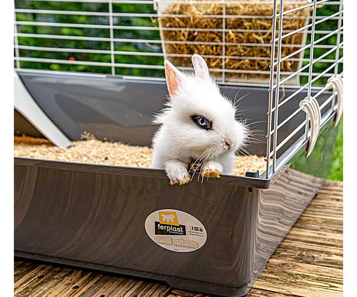 Клетка Для Кроликов Ferplast (Ферпласт) Rabbit 100 Цветная 95*57*46см