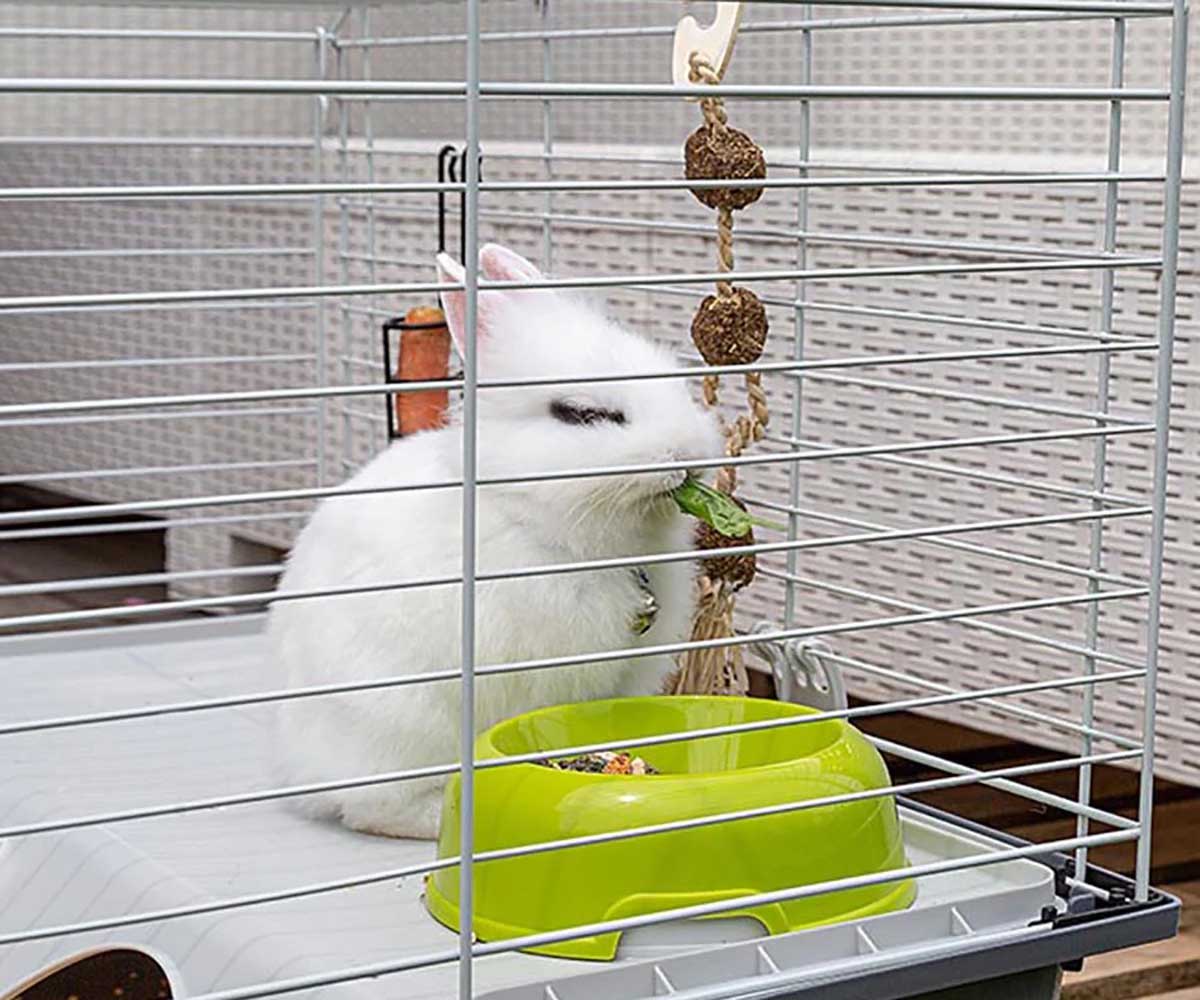 Клетка Для Кроликов Ferplast (Ферпласт) Rabbit 100 Цветная 95*57*46см