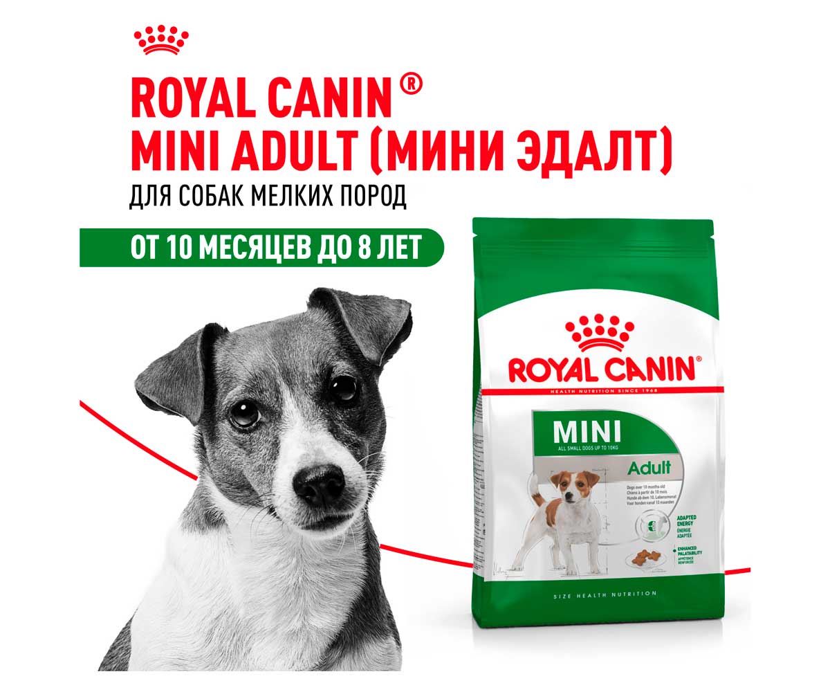 Сухой Корм Royal Canin (Роял Канин) Для Собак Мелких Пород Size Health Nutrition MINI Adult 2кг