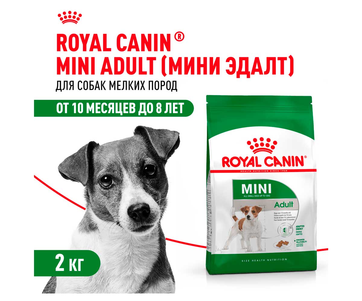 Сухой Корм Royal Canin (Роял Канин) Для Собак Мелких Пород Size Health Nutrition MINI Adult 2кг