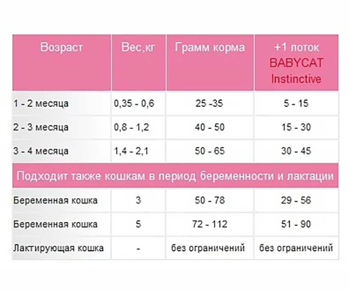 Сухой Корм Royal Canin (Роял Канин) Для Котят и Беременных Кошек Feline Health Nutrition Mother & Babycat 2кг