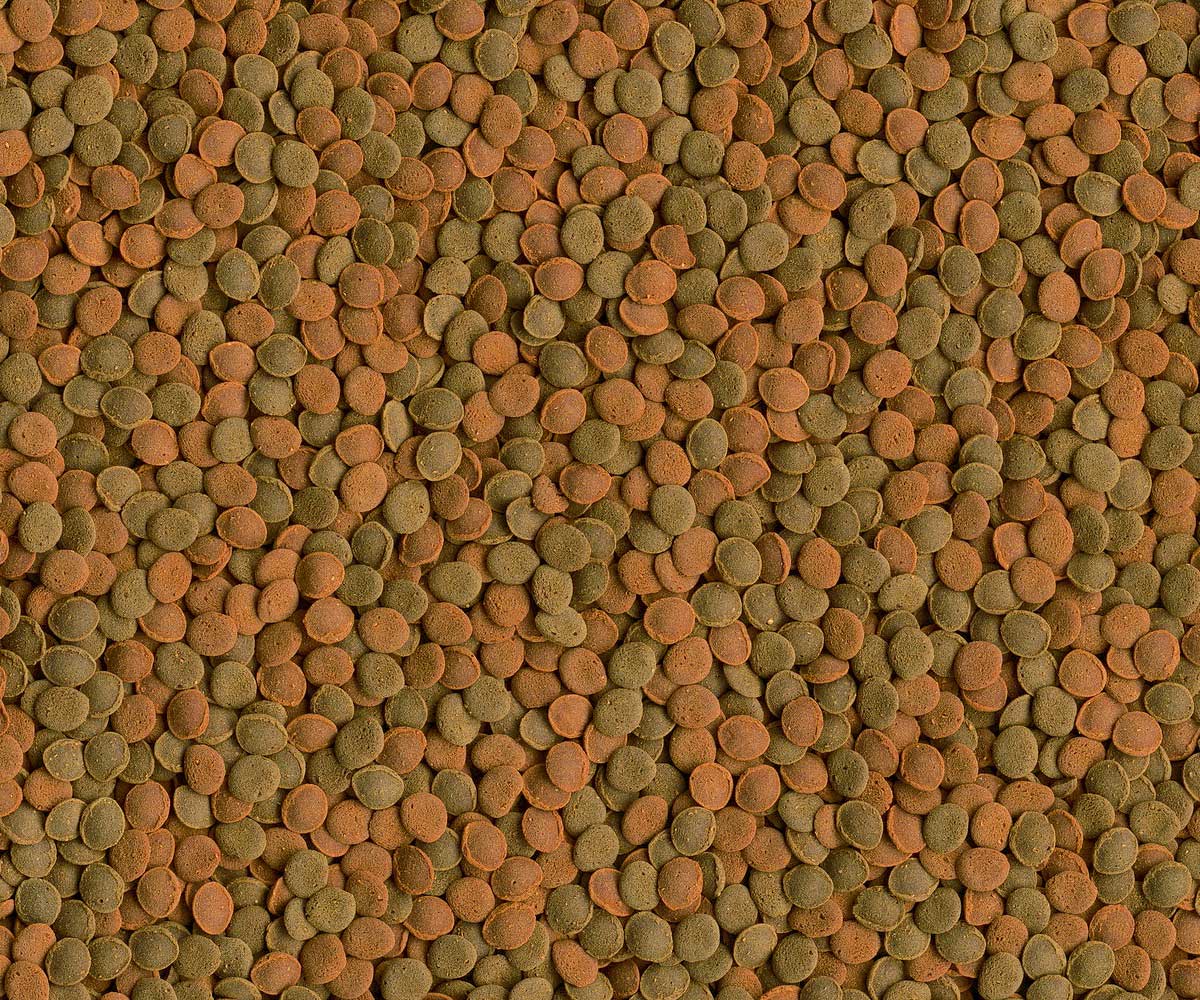Корм Для Рыб Tetra (Тетра) Wafer Mix Пластинки с Креветками 100мл 140066