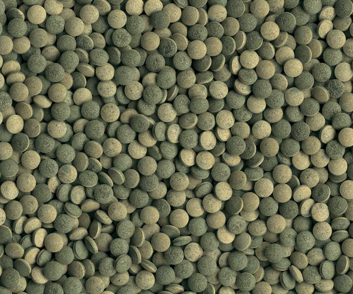 Корм Для Рыб Tetra (Тетра) Pleco Tablets Таблетки Для Донных Рыб и Раков 120таб 199217