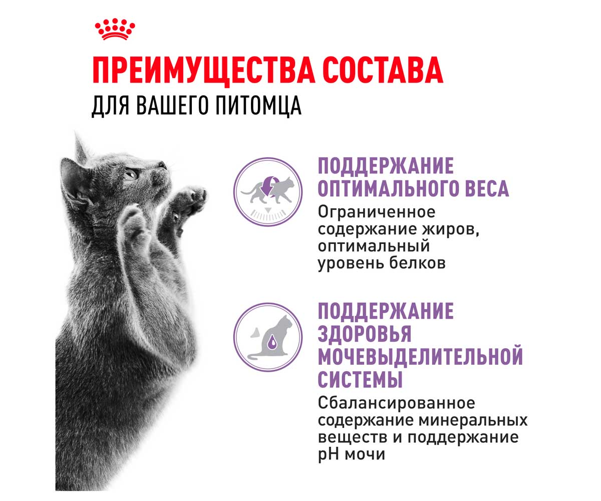Влажный Корм Royal Canin (Роял Канин) Для Кастрированных Котов и Стерилизованных Кошек Аппетитные Кусочки в Соусе Feline Health Nutrition Sterilised Gravy 85г (1*12)