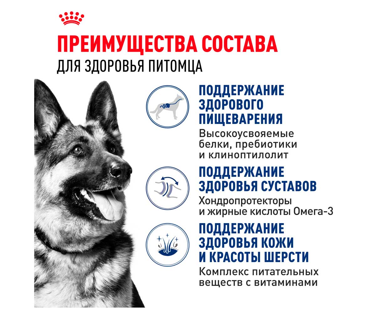 Сухой Корм Royal Canin (Роял Канин) Для Собак Крупных Пород Size Health Nutrition MAXI Adult 15кг