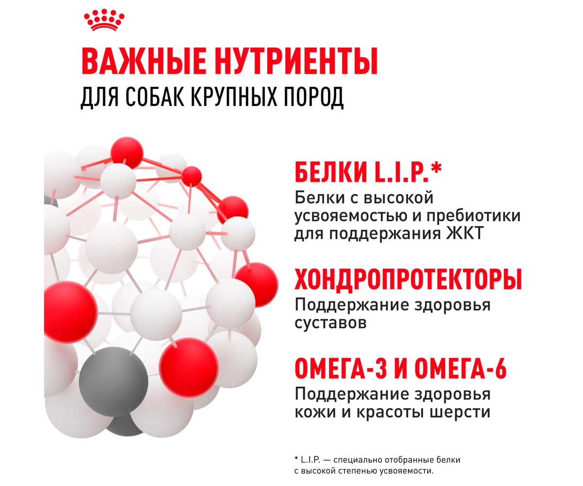 Сухой Корм Royal Canin (Роял Канин) Для Собак Крупных Пород Size Health Nutrition MAXI Adult 15кг