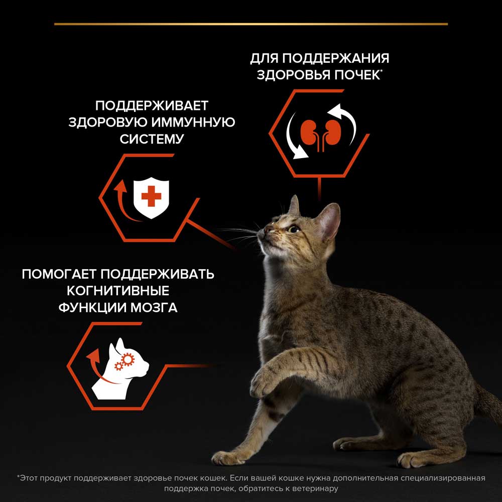 Сухой Корм ProPlan (ПроПлан) Для Кошек Для Поддержания Функций Почек, Мозга и Иммунитета Лосось Adult Vital Functions Salmon 3кг (1*4)