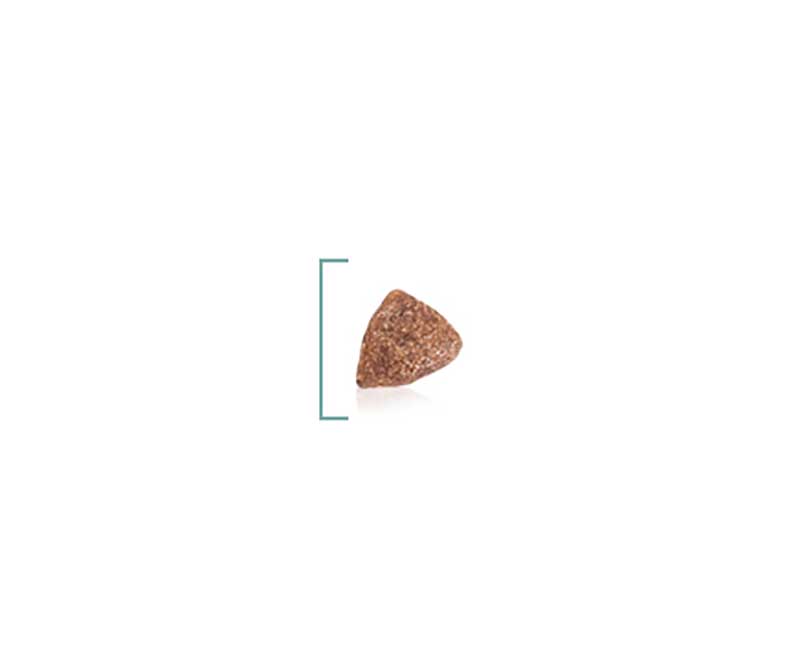 Сухой Корм Royal Canin (Роял Канин) Для Щенков и Беременных Собак Мелких Пород Size Health Nutrition Mini Starter Mother & Babydog 3кг
