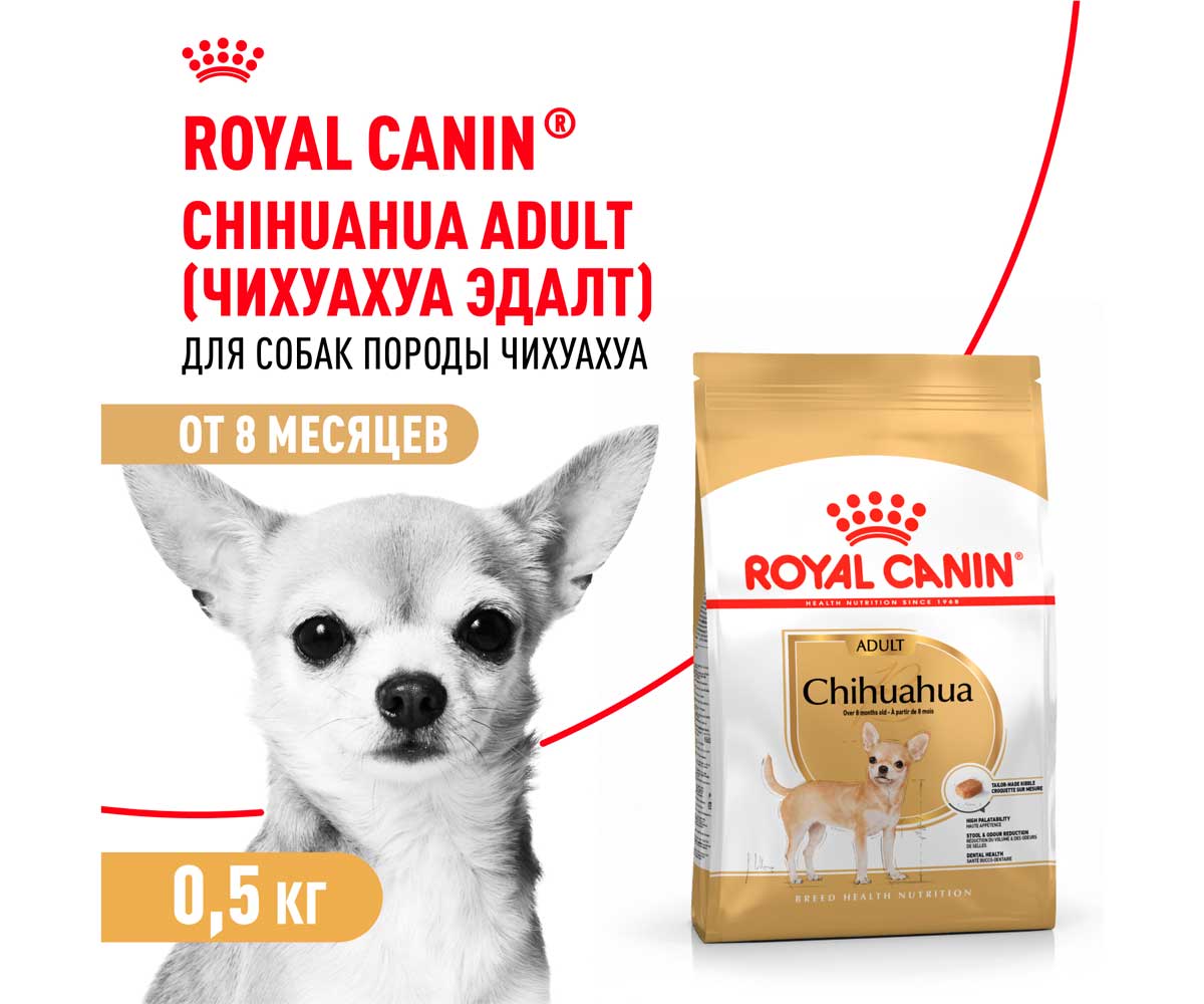 Сухой Корм Royal Canin (Роял Канин) Для Собак Породы Чихуахуа Breed Health Nutrition Chihuahua Adult 500г