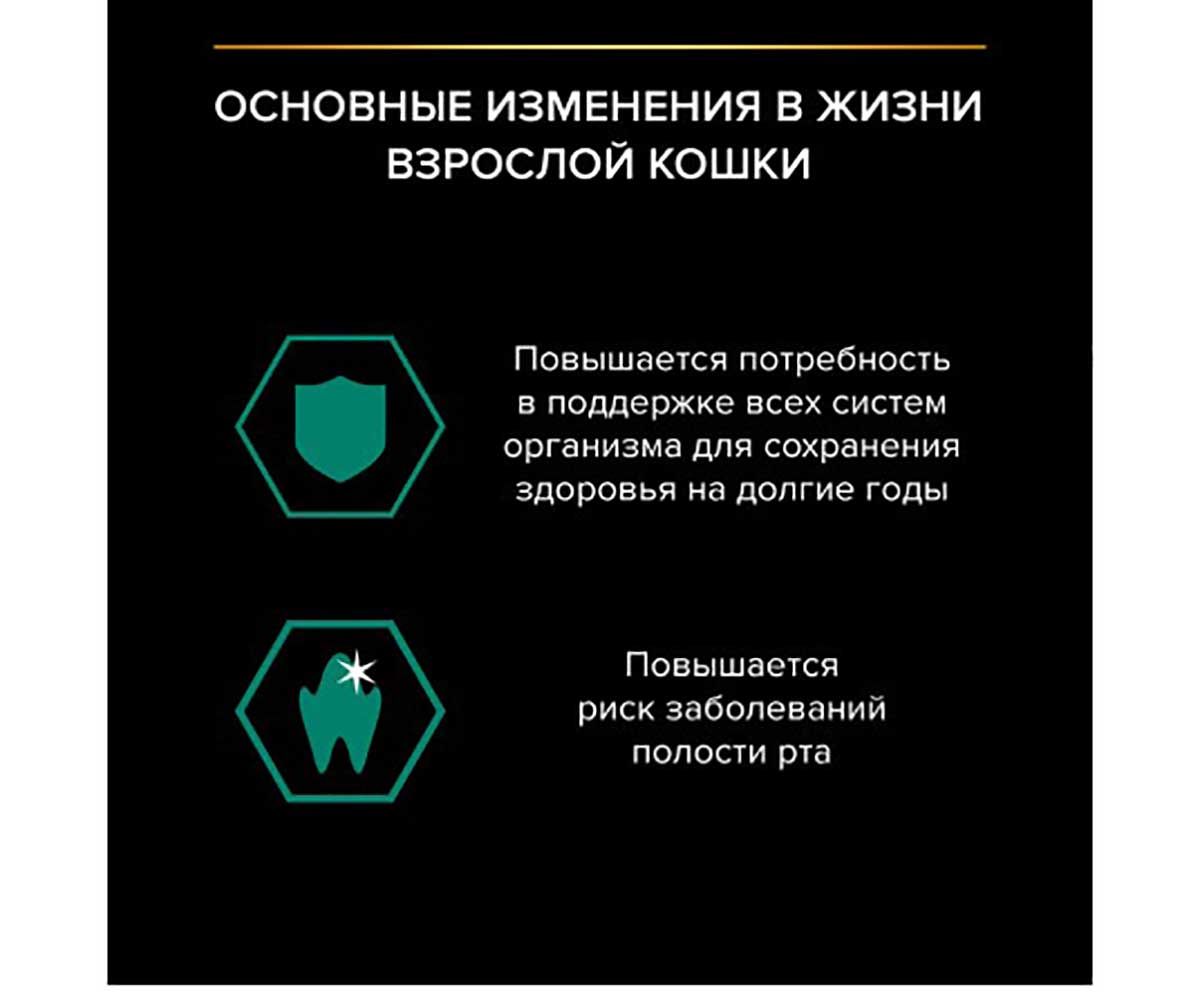 Влажный Корм Pro Plan (ПроПлан) Для Кошек Индейка в Желе Adult Turkey 85г (1*24)