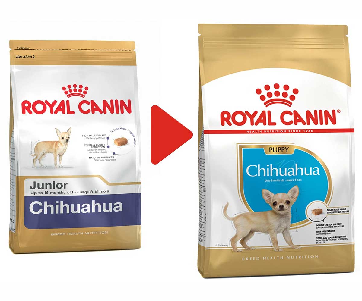 Сухой Корм Royal Canin (Роял Канин) Для Щенков Породы Чихуахуа от 2 до 8 Месяцев Breed Health Nutrition Chihuahua Puppy 1,5кг