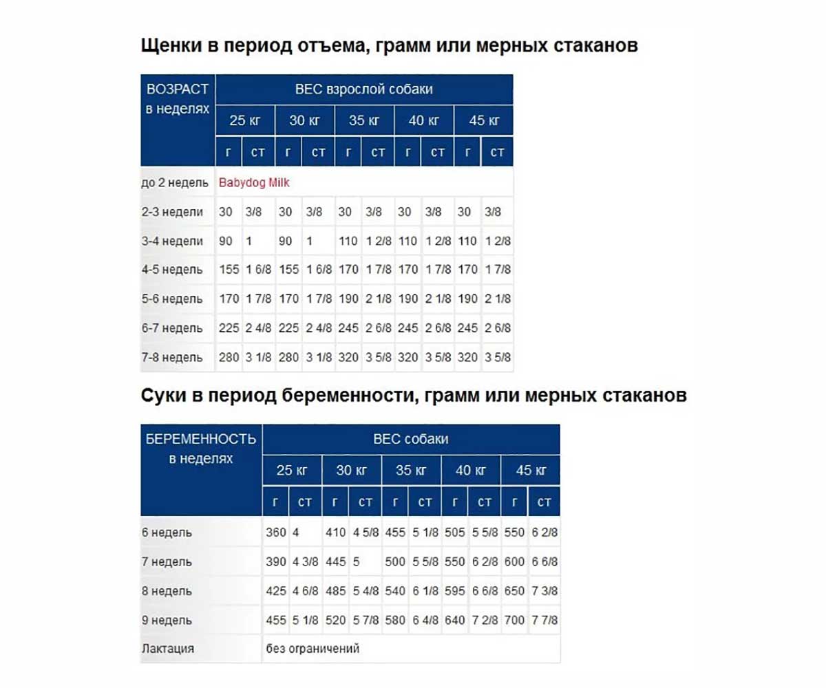Сухой Корм Royal Canin (Роял Канин) Для Щенков и Беременных Собак Крупных Пород Size Health Nutrition MAXI Starter 4кг