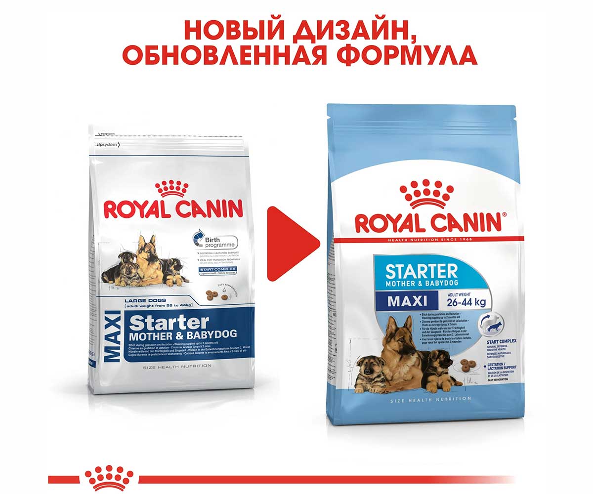 Сухой Корм Royal Canin (Роял Канин) Для Щенков и Беременных Собак Крупных Пород Size Health Nutrition MAXI Starter 4кг