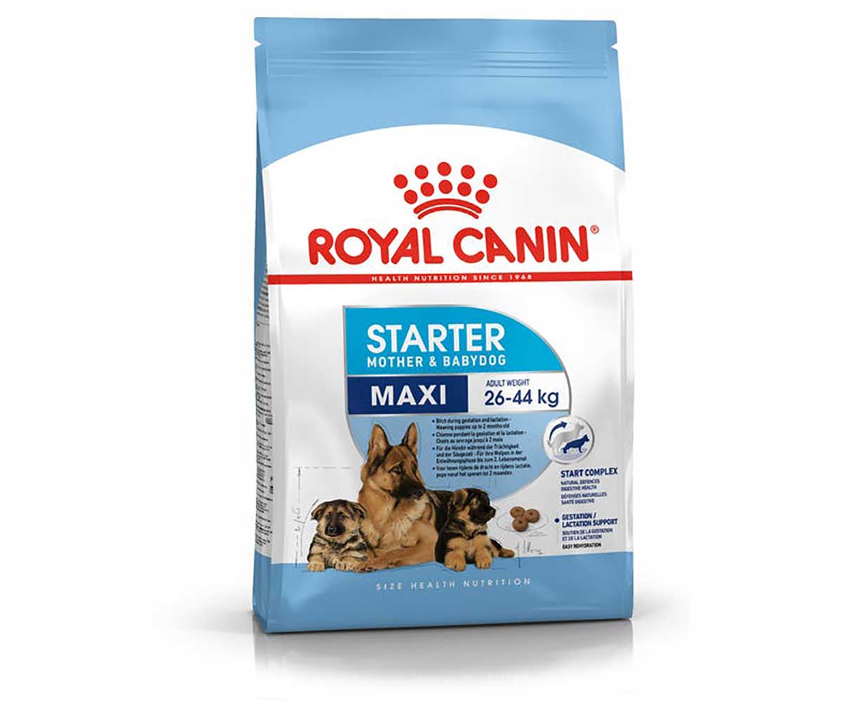 Сухой Корм Royal Canin (Роял Канин) Для Щенков и Беременных Собак Крупных Пород Size Health Nutrition MAXI Starter 4кг