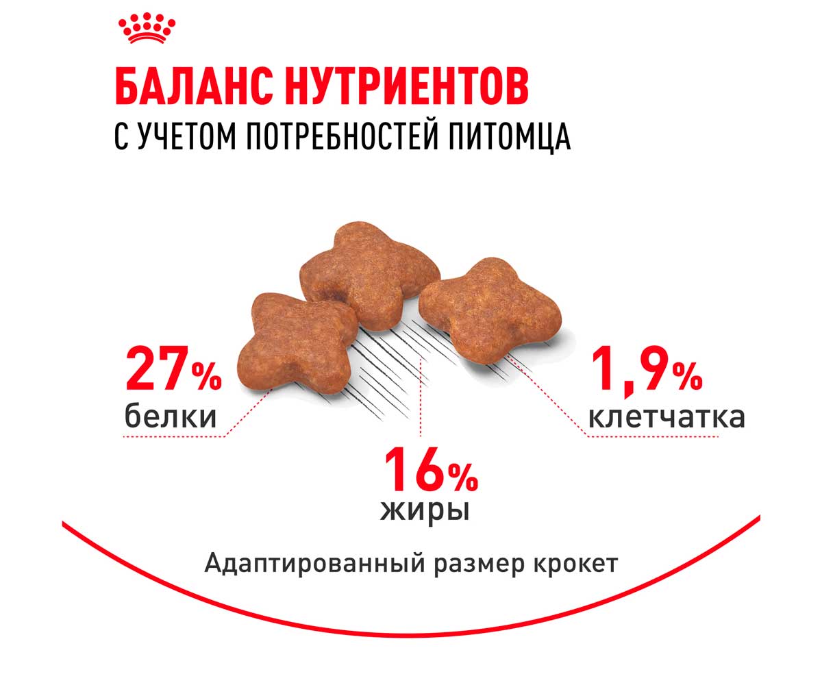 Сухой Корм Royal Canin (Роял Канин) Для Собак Мелких Пород Size Health Nutrition MINI Adult 4кг