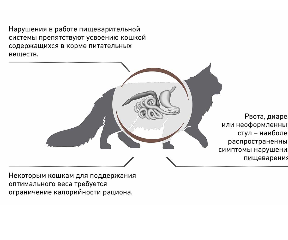 Лечебный Сухой Корм Royal Canin (Роял Канин) Для Кошек При Нарушении Пищеварения с Пониженным Уровнем Калорий Veterinary Feline Gastrointestinal GIM35 Moderate Calorie 2кг
