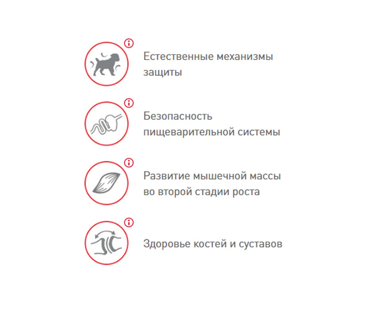 Сухой Корм Royal Canin (Роял Канин) Для Щенков Гигантских Пород Size Health Nutrition GIANT Junior 15кг