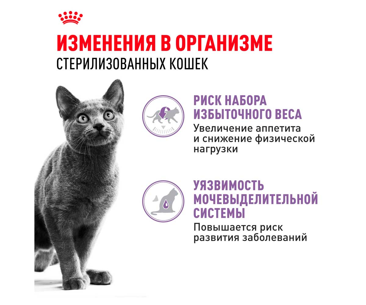 Влажный Корм Royal Canin (Роял Канин) Для Стерилизованных Кошек и Кастрированных Котов Аппетитные Кусочки в Желе Feline Health Nutrition Sterilised Jelly 85г (1*12)