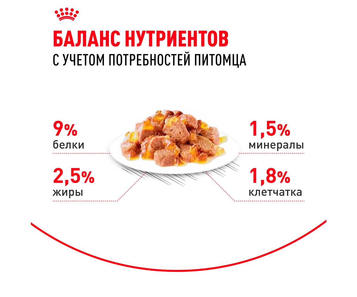 Влажный Корм Royal Canin (Роял Канин) Для Стерилизованных Кошек и Кастрированных Котов Аппетитные Кусочки в Желе Feline Health Nutrition Sterilised Jelly 85г (1*12)