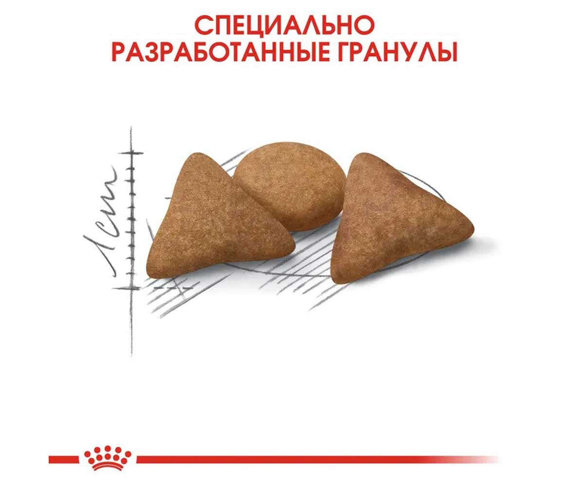Сухой Корм Royal Canin (Роял Канин) Для Домашних Кошек Контроль Веса Feline Health Nutrition Indoor Appetite Control 400г