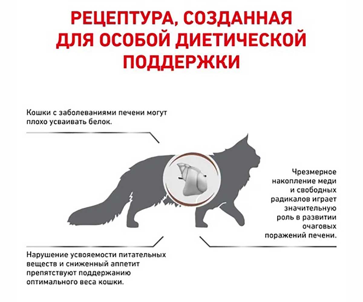 Лечебный Сухой Корм Royal Canin (Роял Канин) Для Кошек При Заболевании Печени Veterinary Diet Feline Hepatic HF26 2кг