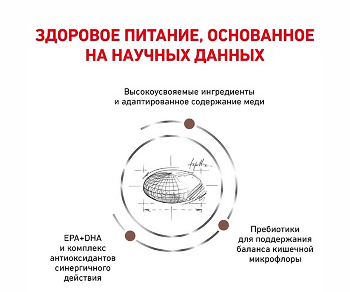 Лечебный Сухой Корм Royal Canin (Роял Канин) Для Кошек При Заболевании Печени Veterinary Diet Feline Hepatic HF26 2кг