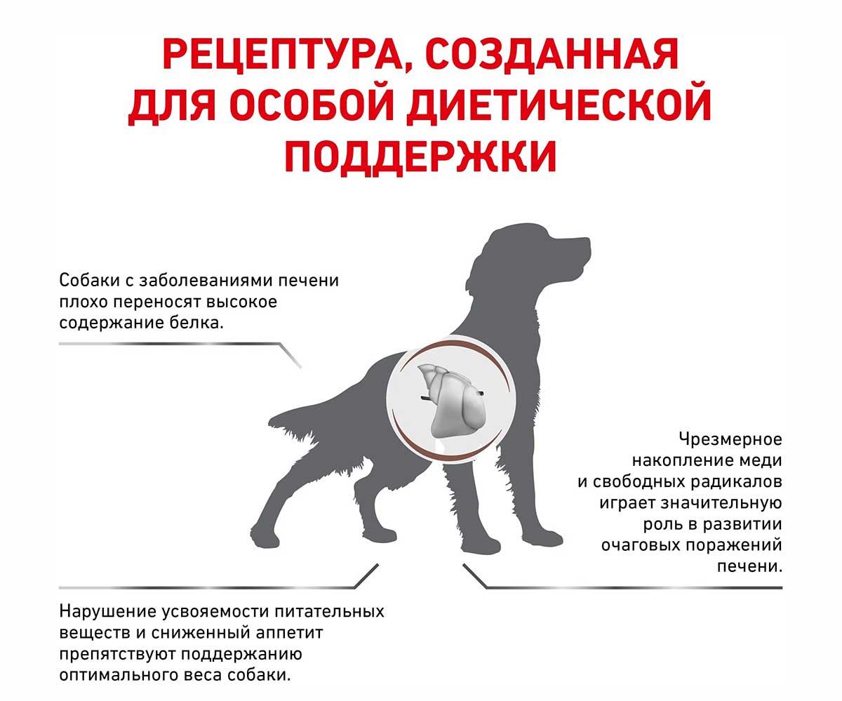 Лечебный Сухой Корм Royal Canin (Роял Канин) Для Собак При Заболевании Печени Veterinary Diet Canine Hepatic HF16 1,5кг