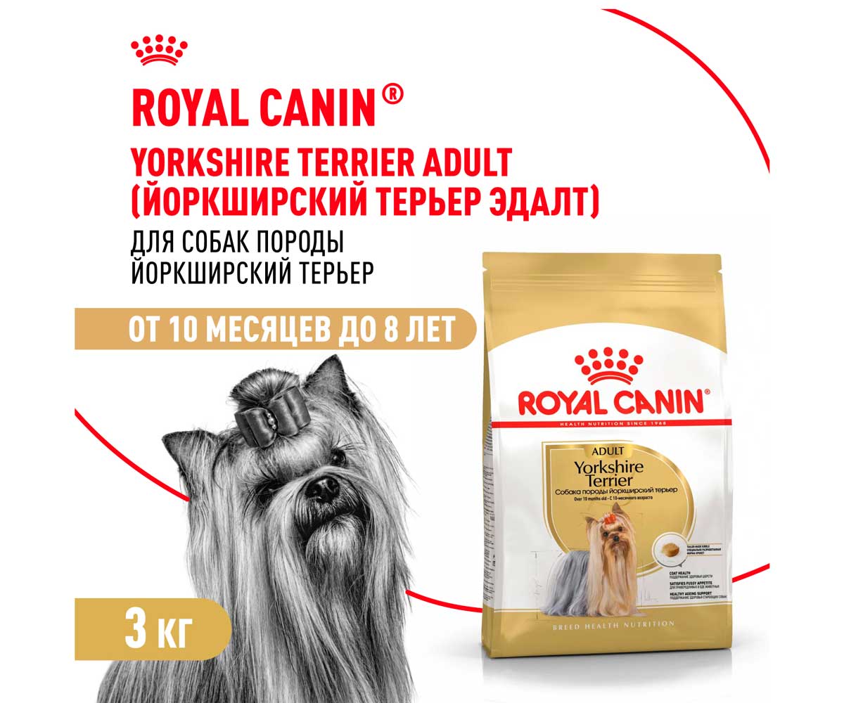 Сухой Корм Royal Canin (Роял Канин) Для Собак Породы Йоркширский Терьер Breed Health Nutrition Yorkshire Terrier Adult 3кг