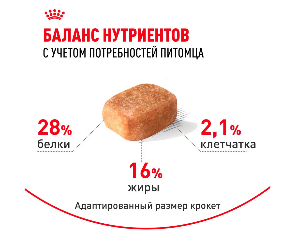Сухой Корм Royal Canin (Роял Канин) Для Собак Породы Чихуахуа Breed Health Nutrition Chihuahua Adult 3кг