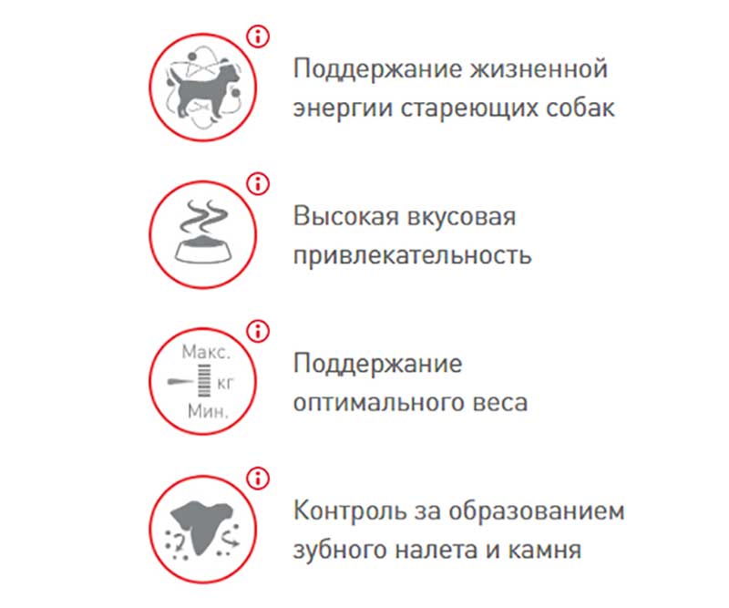 Сухой Корм Royal Canin (Роял Канин) Для Пожилых Собак Мелких Пород Старше 8 Лет MINI Adult 8+ 4кг