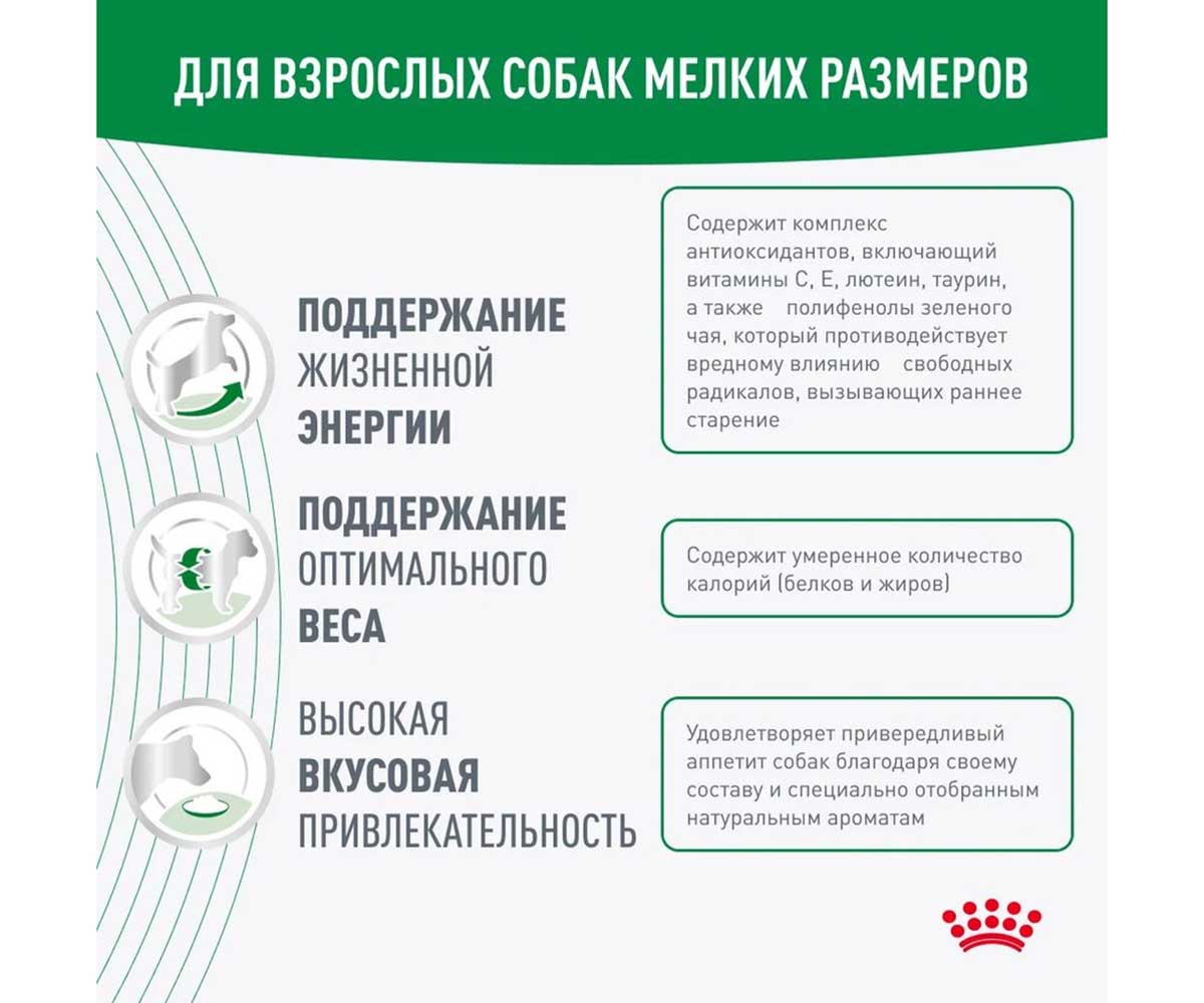 Сухой Корм Royal Canin (Роял Канин) Для Пожилых Собак Мелких Пород Старше 8 Лет MINI Adult 8+ 2кг