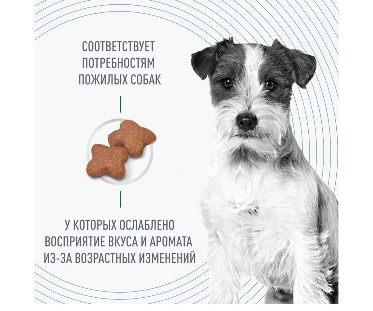 Сухой Корм Royal Canin (Роял Канин) Для Пожилых Собак Мелких Пород Старше 8 Лет MINI Adult 8+ 2кг