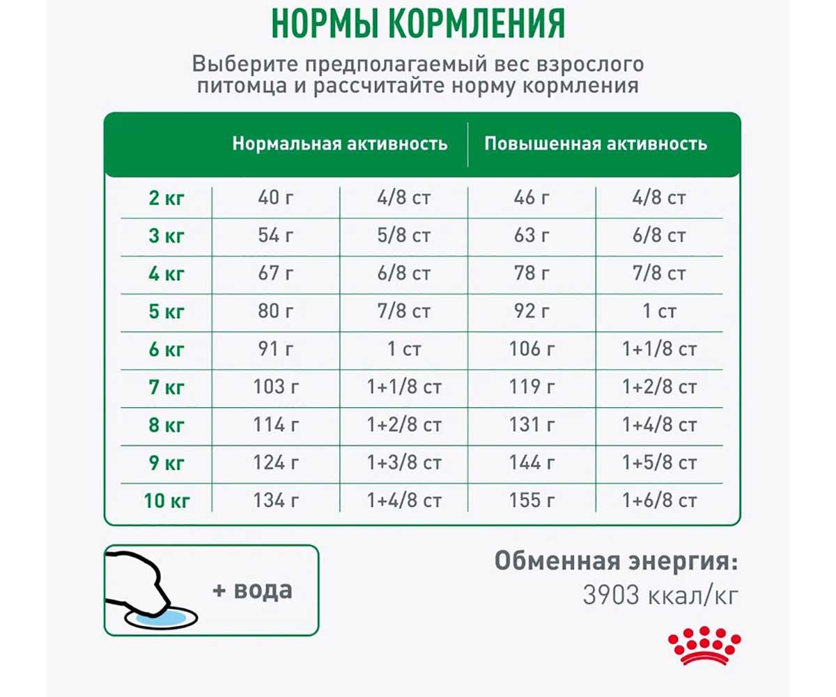 Сухой Корм Royal Canin (Роял Канин) Для Пожилых Собак Мелких Пород Старше 8 Лет MINI Adult 8+ 2кг