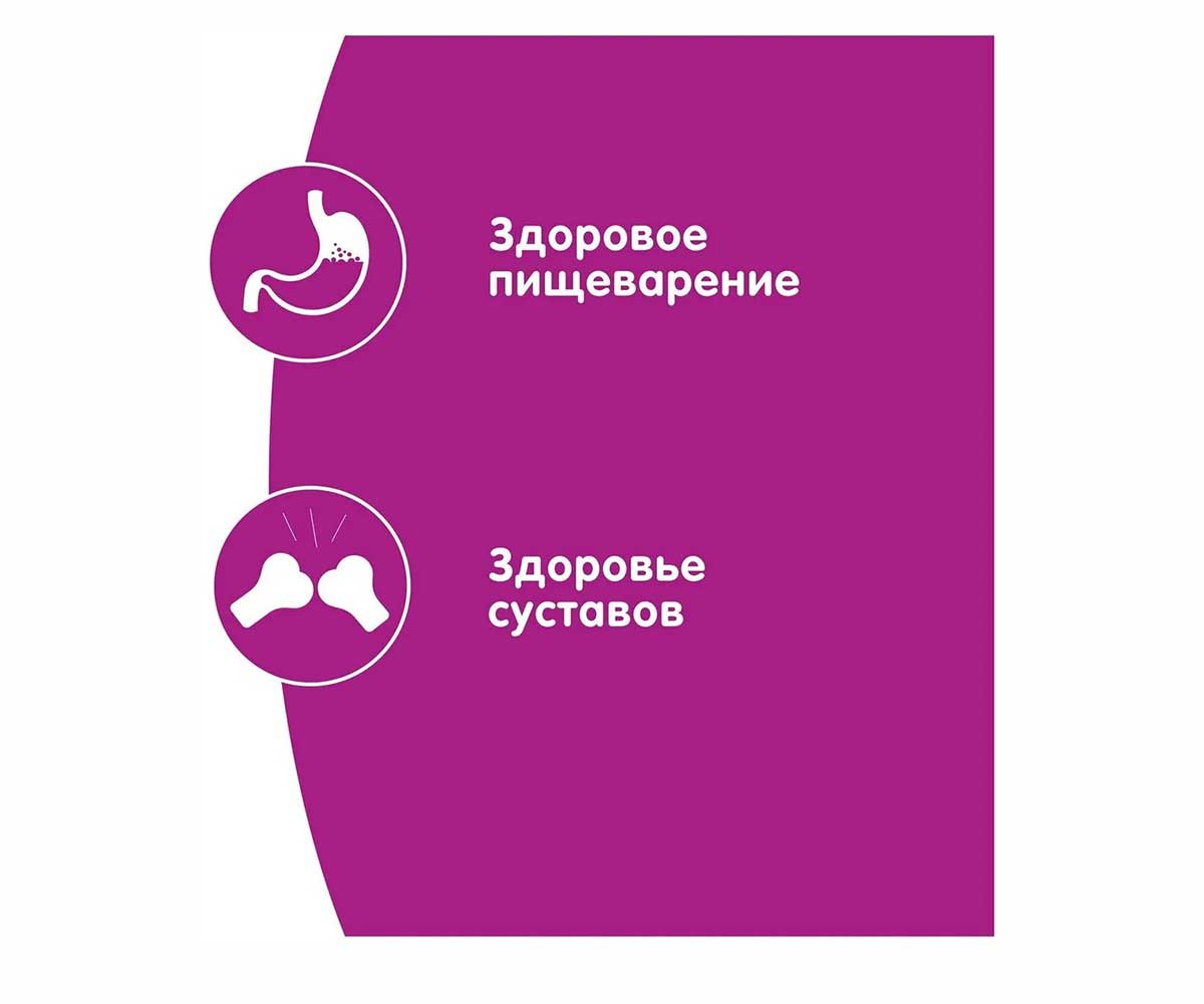 Сухой Корм Whiskas (Вискас) Для Кошек Говядина Подушечки с Паштетом 800г (1*8)