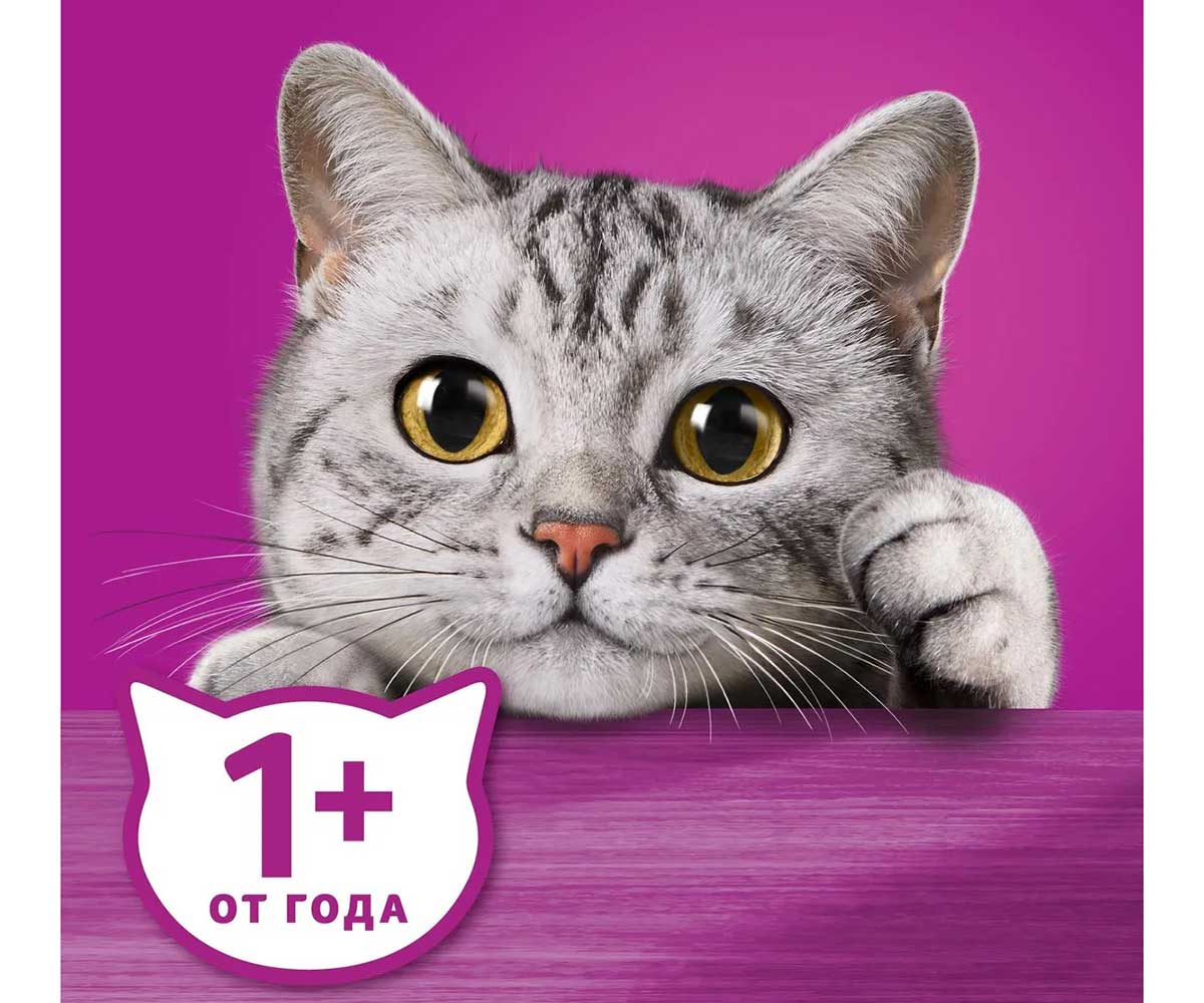 Влажный Корм Whiskas (Вискас) Для Кошек Говядина и Ягненок в Желе 75г (1*28)