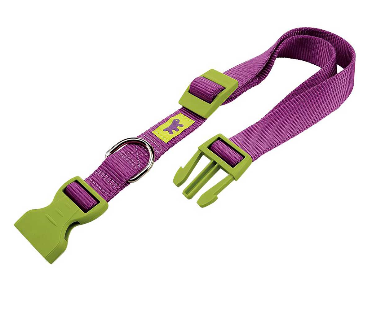 Ошейник Для Собак Мелких Пород Ferplast (Ферпласт) Club Colours С 23-32см 1см 10/32 Фиалковый