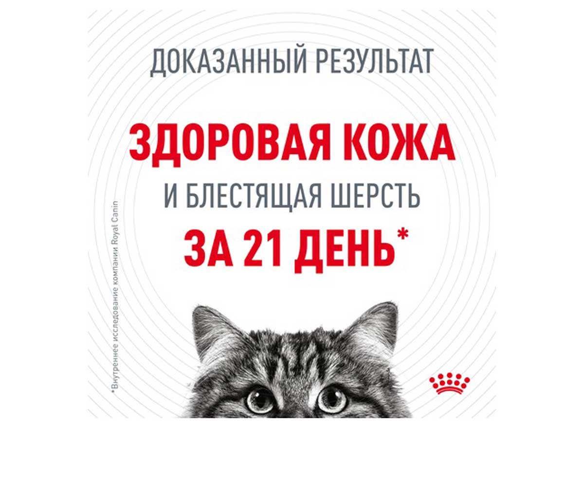 Сухой Корм Royal Canin (Роял Канин) Для Кошек Для Здоровья Кожи и Шерсти (Диетический) Feline Care Nutrition Hair & Skin 33 400г