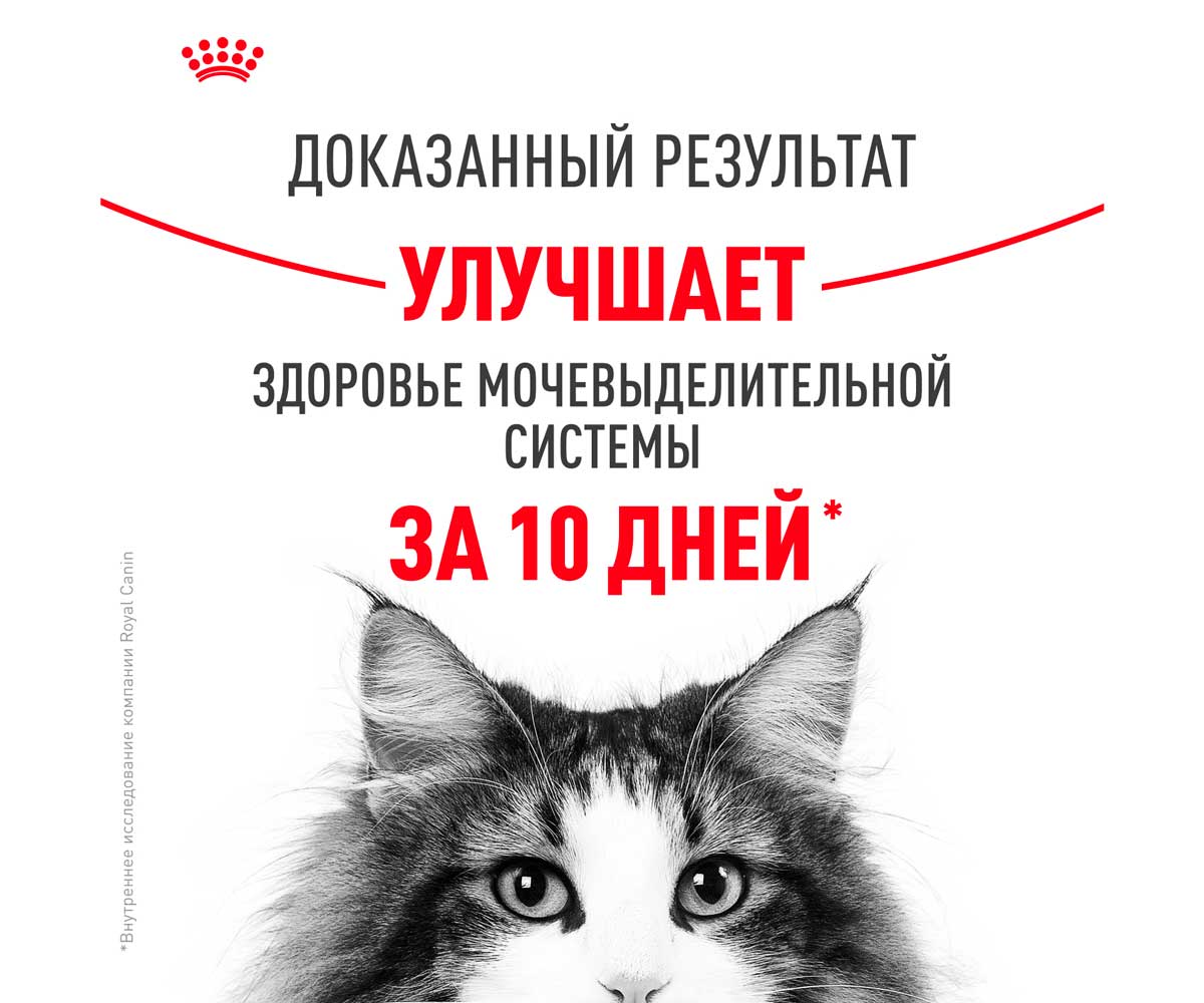Сухой Корм Royal Canin (Роял Канин)  Для Кошек Для Профилактики МКБ Feline Care Nutrition Urinary Care 2кг