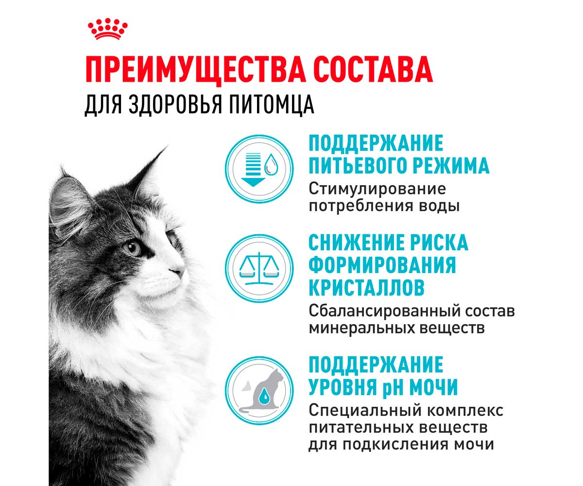 Сухой Корм Royal Canin (Роял Канин) Для Кошек Для Профилактики МКБ Feline Care Nutrition Urinary Care  400г