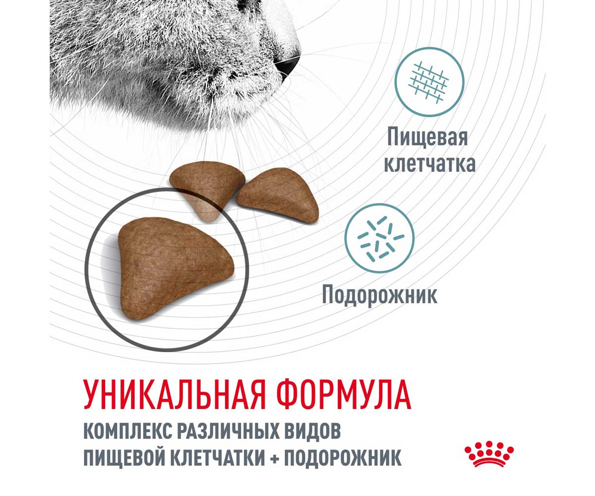 Сухой Корм Royal Canin (Роял Канин) Для Кошек Для Выведения Комочков Шерсти Из Желудка Feline Care Nutrition Intense Hairball 34 2кг