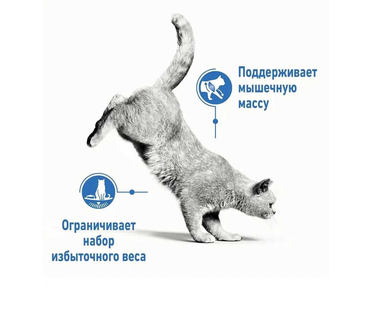 Сухой Корм Royal Canin (Роял Канин) Для Взрослых Кошек с Избыточным Весом (Диетический) Light Weight CAre 40 400г