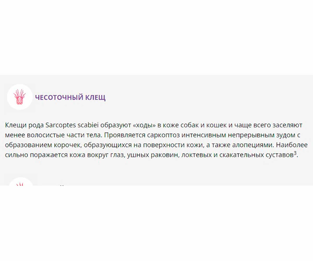 Bravecto (Бравекто) Таблетки Для Собак Крупных Пород От Блох и Клещей 20-40кг 1000мг 1таб