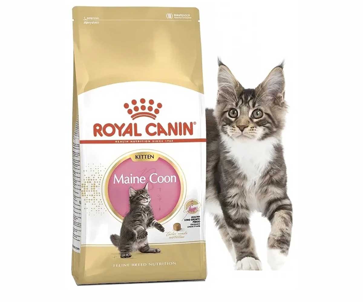 Сухой Корм Royal Canin (Роял Канин) Для Котят Породы Мейн-Кун Feline Breed Nutrition Kitten Maine Coon 36 2кг